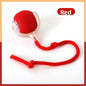Interactive Cat Play Ball