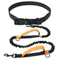 Retractable Hands-Free Dog Running Leash with Waist Belt